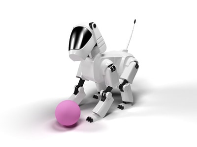 Quelle place pour les animaux dans le futur ?